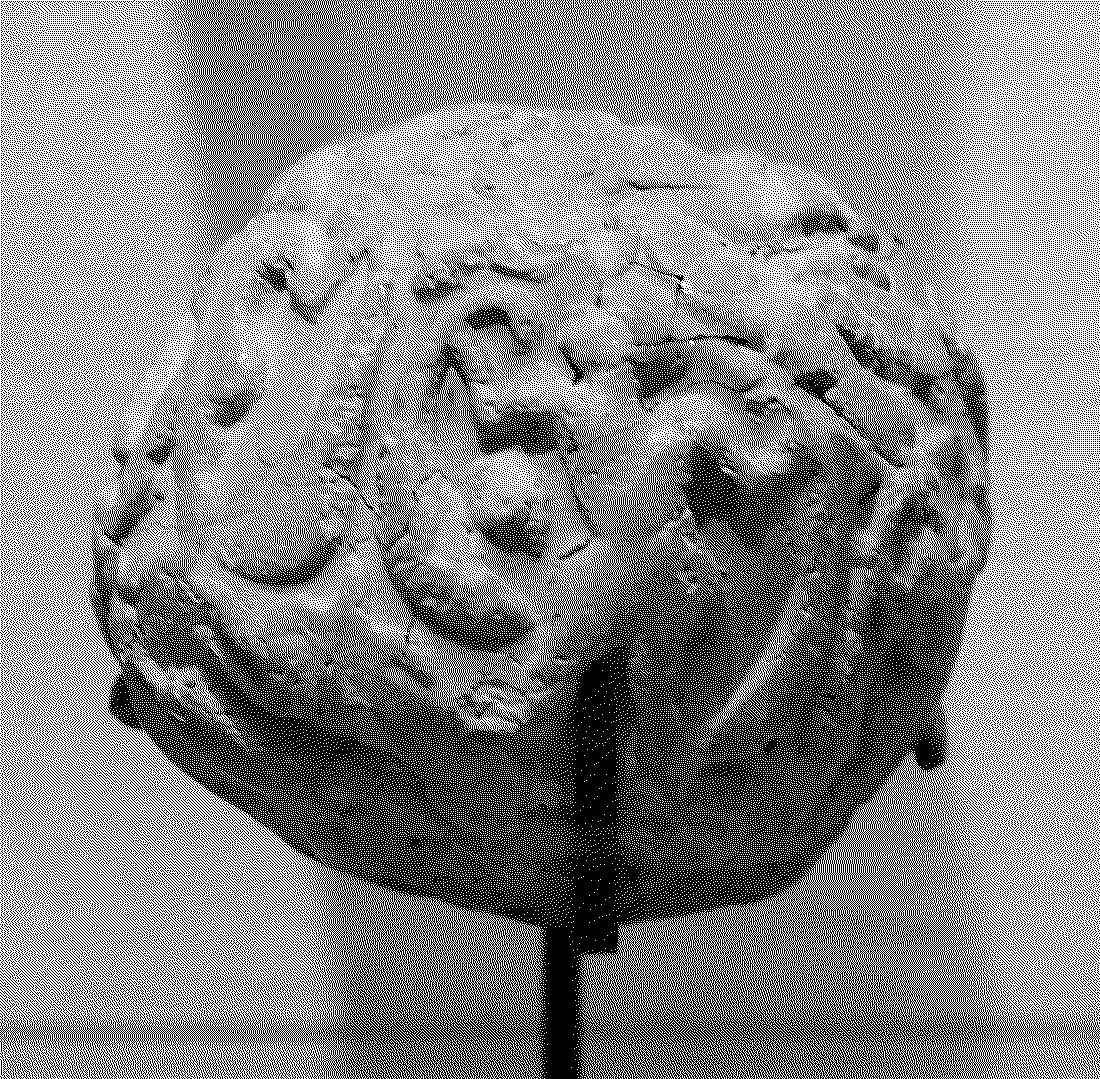 Bulla (Clay Round Seal)