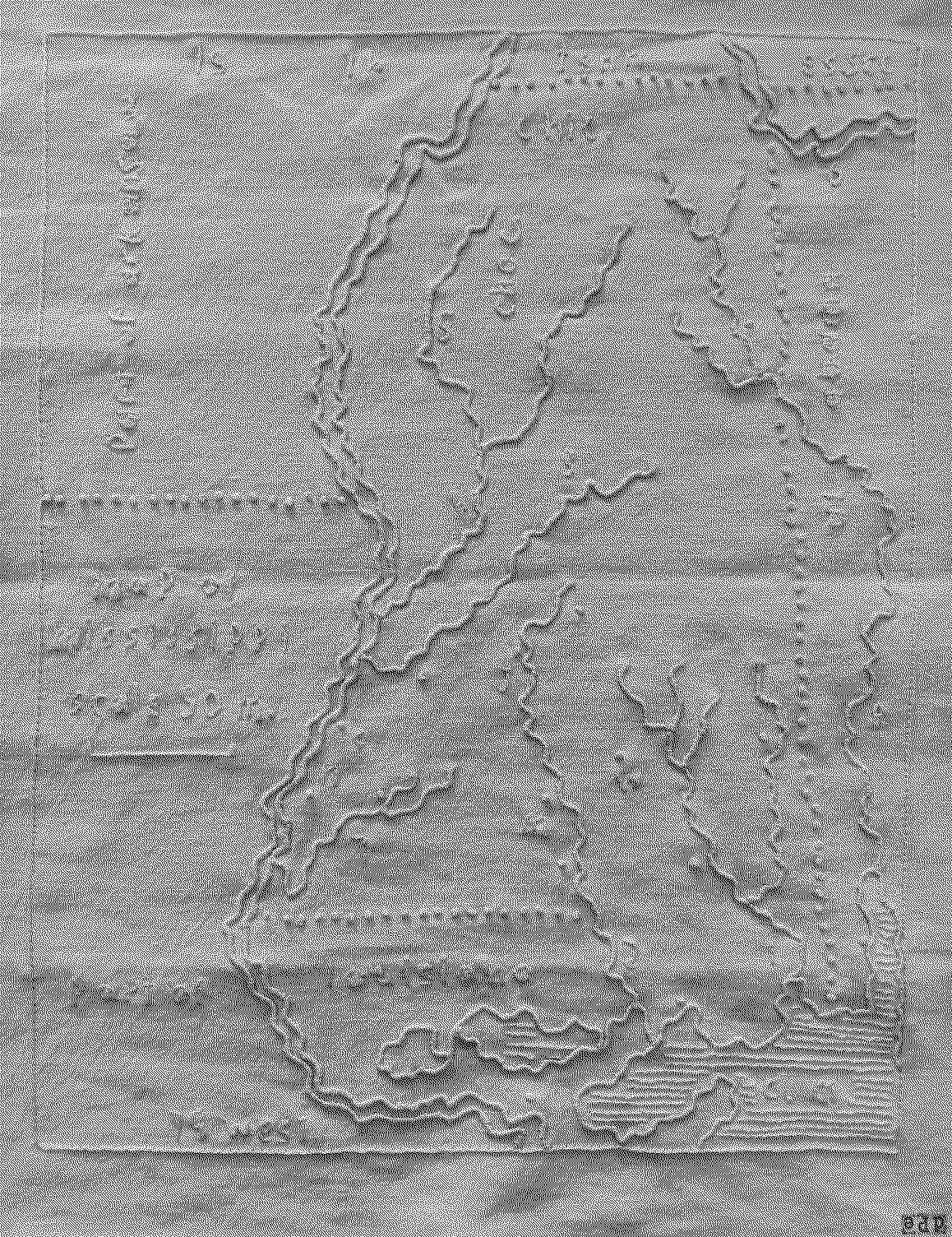 Mississippi Embroidered Map