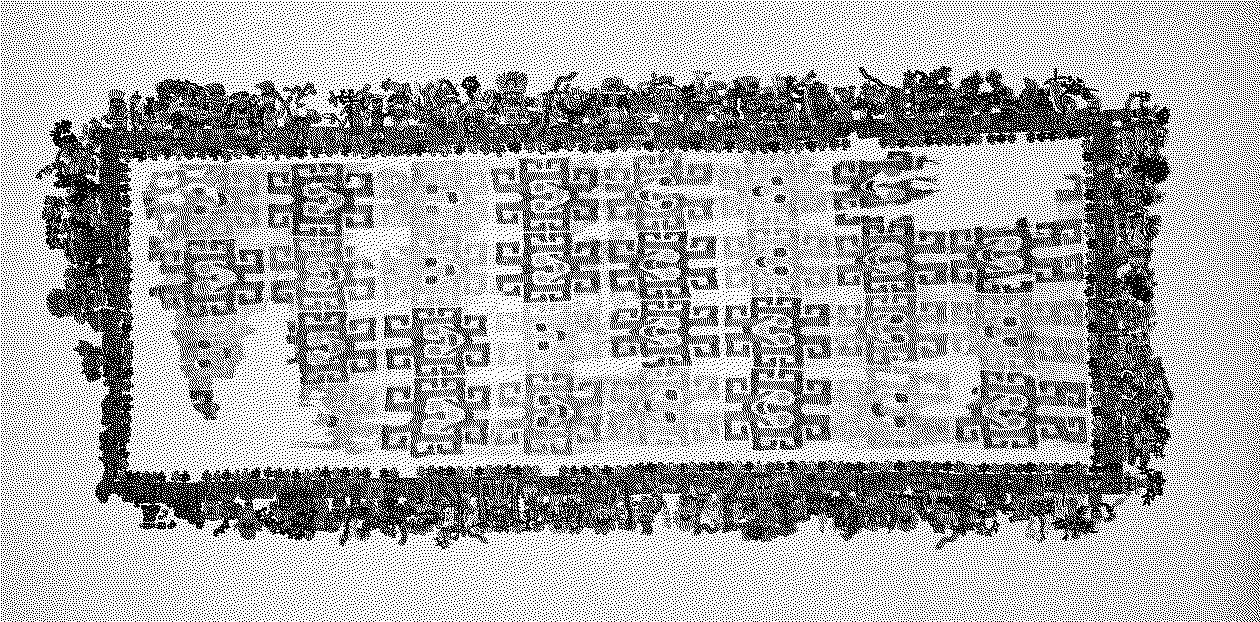 Paracas Polychrome Mantle