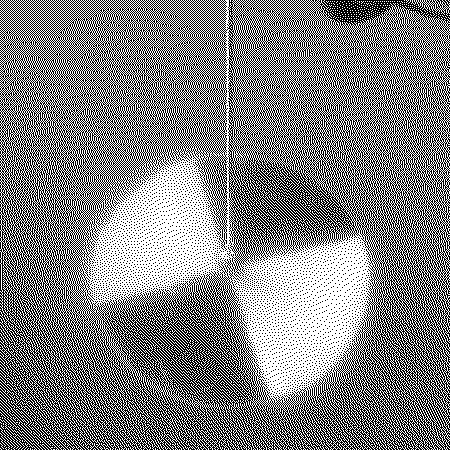 Secchi Disk